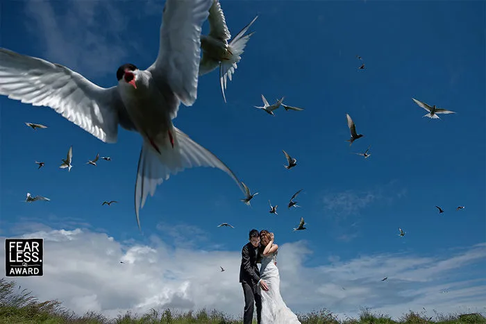 The Best Wedding Photos Of 2017 Will Absolutely Amaze You