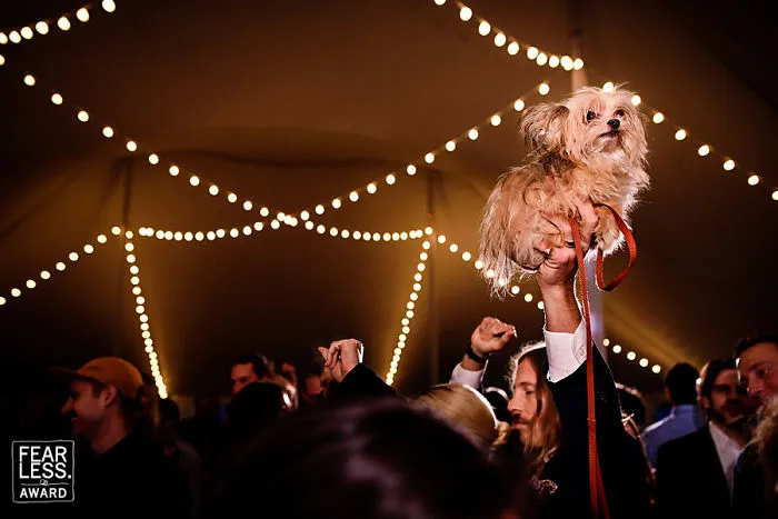 The Best Wedding Photos Of 2017 Will Absolutely Amaze You