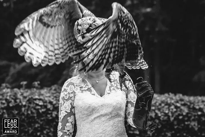 The Best Wedding Photos Of 2017 Will Absolutely Amaze You