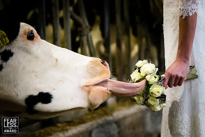Las mejores fotos de bodas de 2017 te dejarán absolutamente sorprendid@