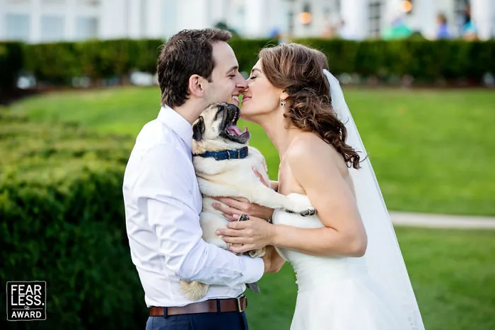 The Best Wedding Photos Of 2017 Will Absolutely Amaze You