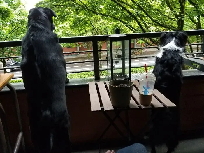 People Watching.