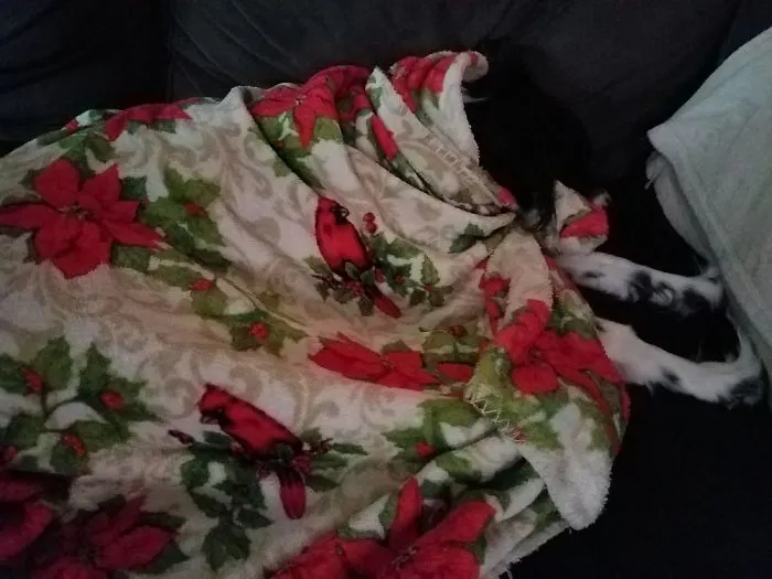 Excuse Me While I Take A Nap.