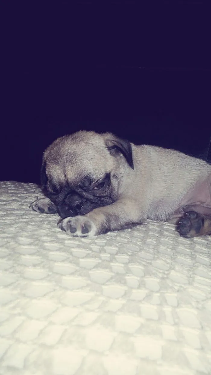 He Was Sleeping.