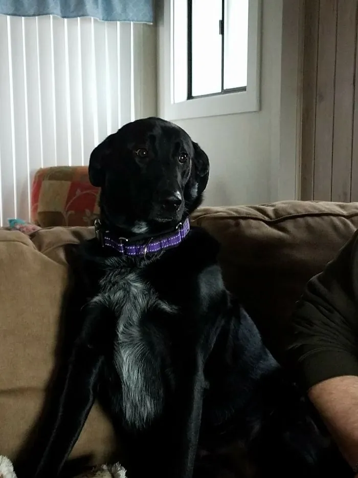 That Look When Your Parents Won't Let You Outside To Play...