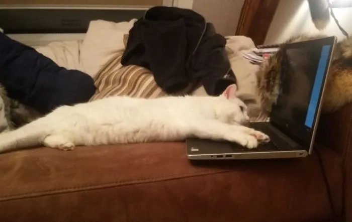 And He Loves To Turn The Screen....
