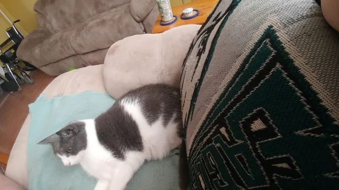 I Wait Until My Mom Gets Up Then Steal Her Spot