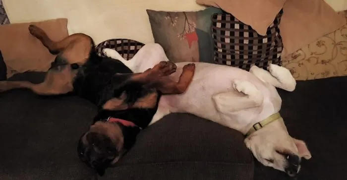 Ultimate Relaxation