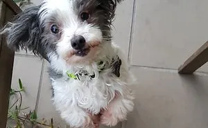 Rescue Animals Are The Best! Share Photos Of The Lives You Have Saved