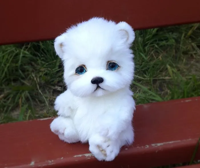 Amazing Warming Tenderness: 20 Furry Puppies, Kittens And Foxcubs Straight From Siberia