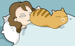 I Illustrate What It's Like To Live With A Cat In 18 Comics