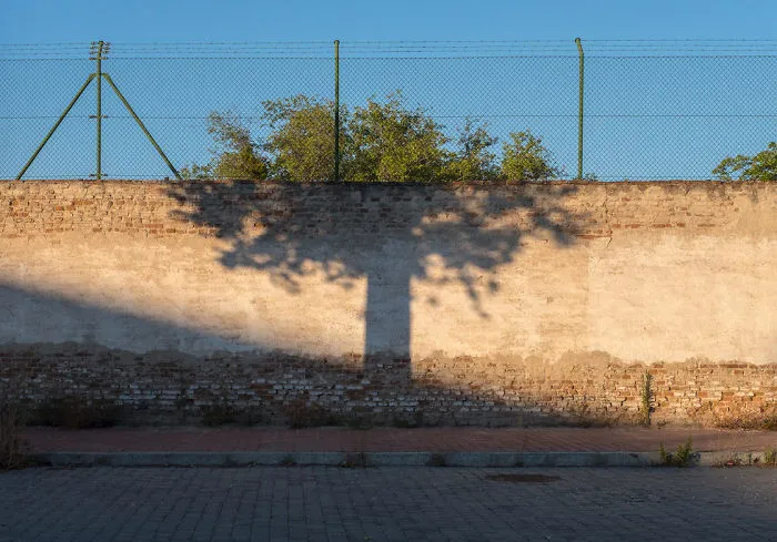 The Coincidence Project Will Challenge The Way You Look At The World(New Pics)