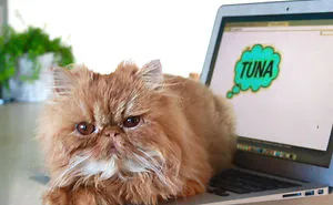 People Are Sharing Pics of Their Pets Being Jerks, And It Will Make You Laugh Out Loud (Add Yours!)
