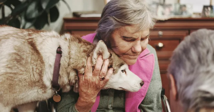 We Followed Local Canistherapy Center Team To Senior Foster Homes And Children Hospitals For Two Years To Document People Emotions
