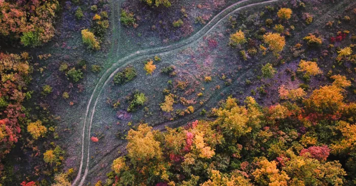 I Spent My Autumn Days Capturing The Beauty Of Hungary's Nature