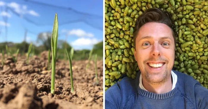I've Spent 1 Year Growing My Own Beer