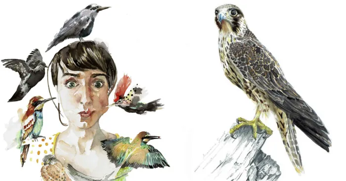 My Watercolour Birds