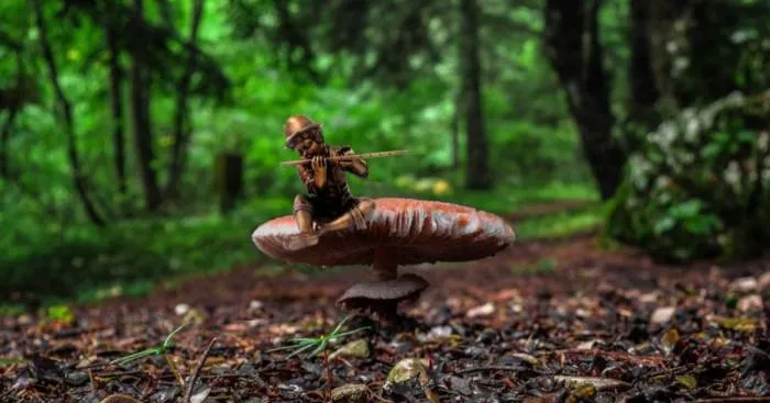 I Bring You Images From The Land Of Mushrooms