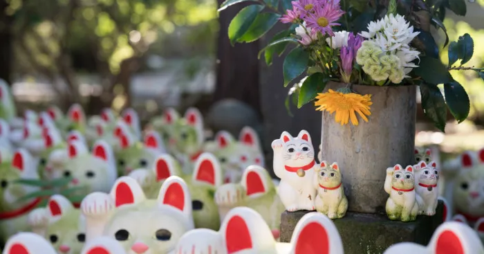 My Report From The Lucky Cats' Homeland