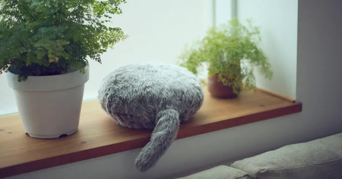 This Cat-Inspired Robot From Japan Can Help To Cope With Anxiety