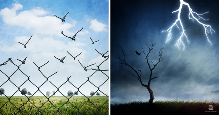 I Tell Forgotten Tales Through Conceptual Images