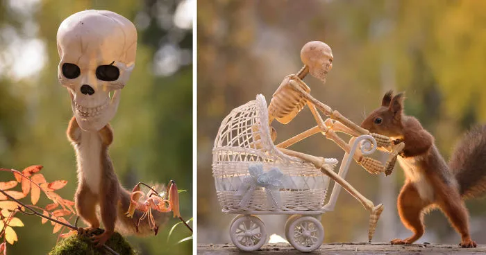 Here's How Squirrels Celebrate Halloween