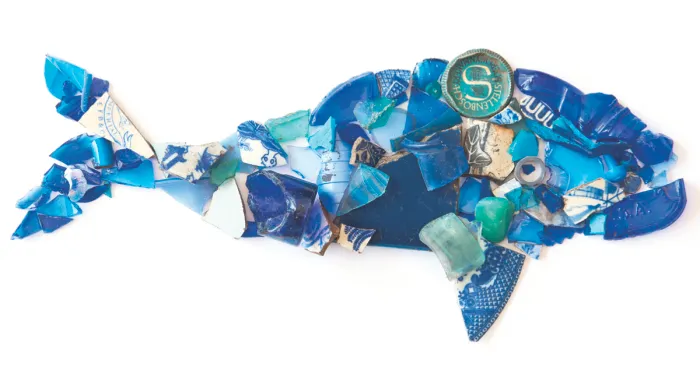 We Create Art From Trash