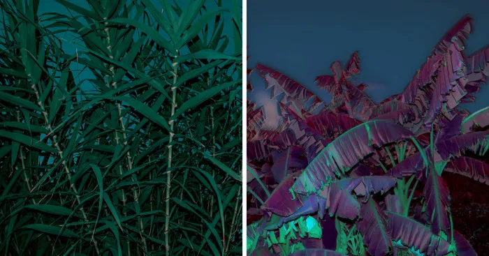 Burn In Blue: My Landscape Photo Series After Late Lab Work