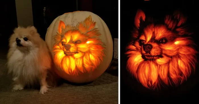 I Carved A Dog-O-Lantern That Looks Like My Pomeranian Sophie