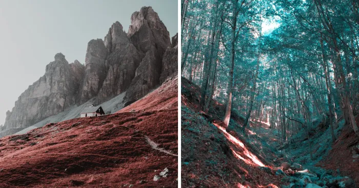 How A Colorblind Affected By Tritanopia Sees The World