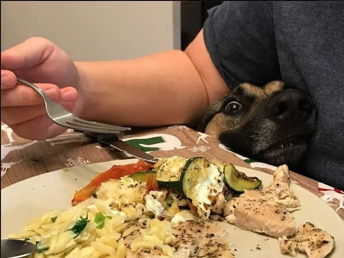 She Doesn't Think We'll Notice Her...