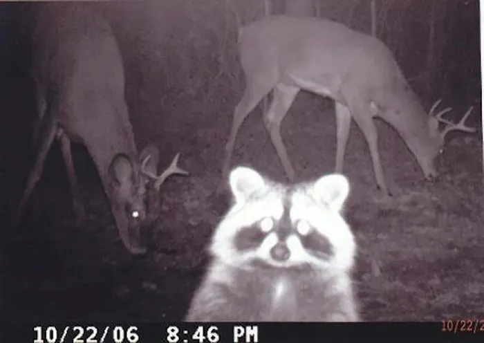 Rob Took A Selfie At A Crazy Party Last Night