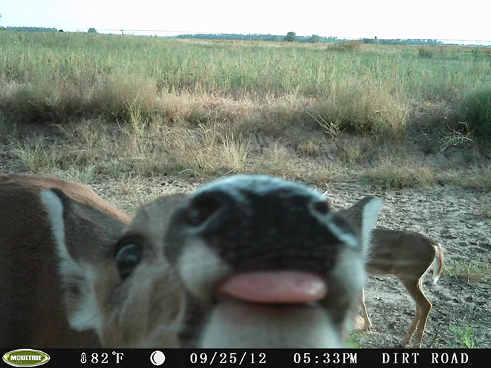 Whatcha Got There?
