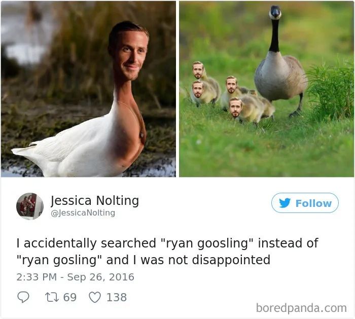 120 Times People Accidentally Googled The Wrong Thing, And The Results Were Hilarious