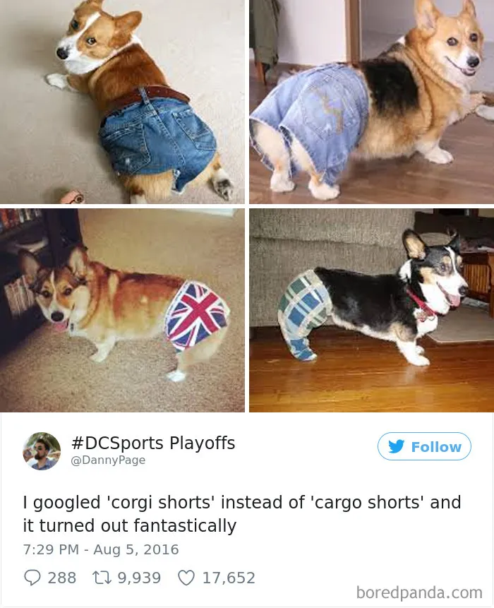 120 Times People Accidentally Googled The Wrong Thing, And The Results Were Hilarious