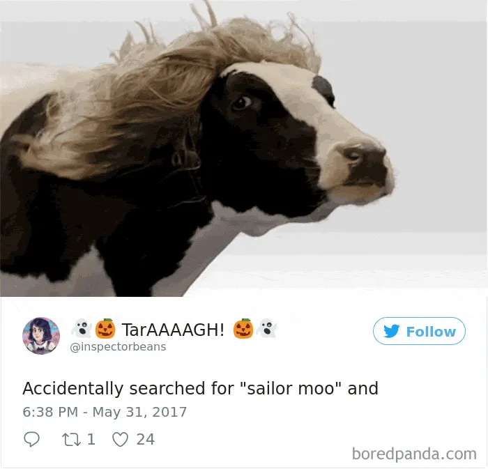 120 Times People Accidentally Googled The Wrong Thing, And The Results Were Hilarious