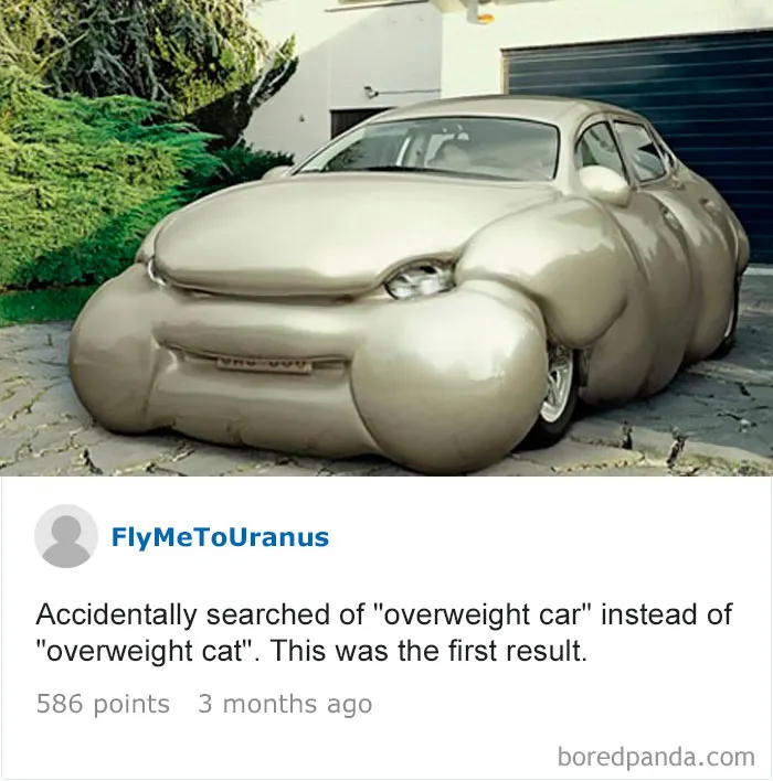 120 Times People Accidentally Googled The Wrong Thing, And The Results Were Hilarious