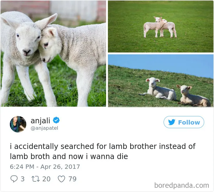 120 Times People Accidentally Googled The Wrong Thing, And The Results Were Hilarious