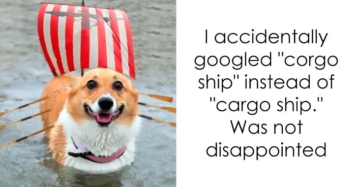 120 Times People Accidentally Googled The Wrong Thing, And The Results Were Hilarious