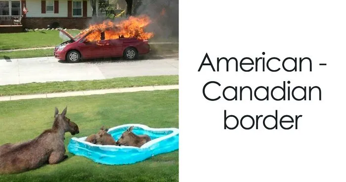 25 Times Canada Roasted America So Well You Can't Even Be Mad