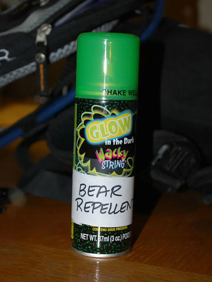 Camping In Bear Area And My Mother-In-Law Gives Me This On Our Trip