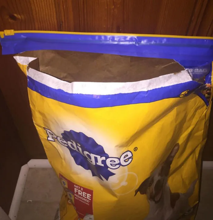 My Mother-In-Law Stopped By And Fed The Dog