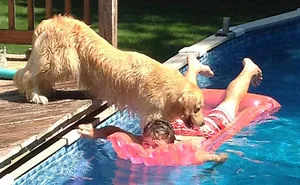 People Are Sharing Pics of Their Pets Being Jerks, And It Will Make You Laugh Out Loud (Add Yours!)