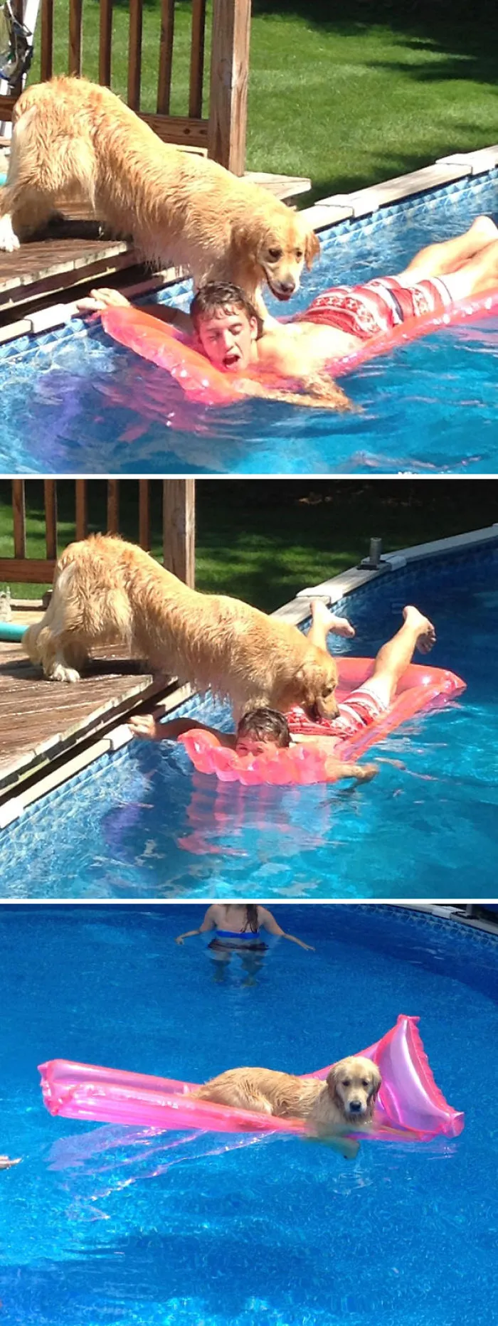 My Dog Drowning Me For My Raft