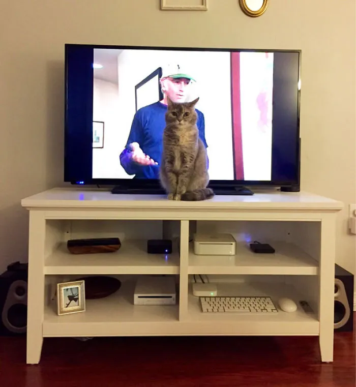 She Always Has To Be The Center Of Attention