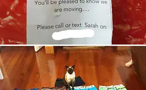 People Are Sharing Pics of Their Pets Being Jerks, And It Will Make You Laugh Out Loud (Add Yours!)