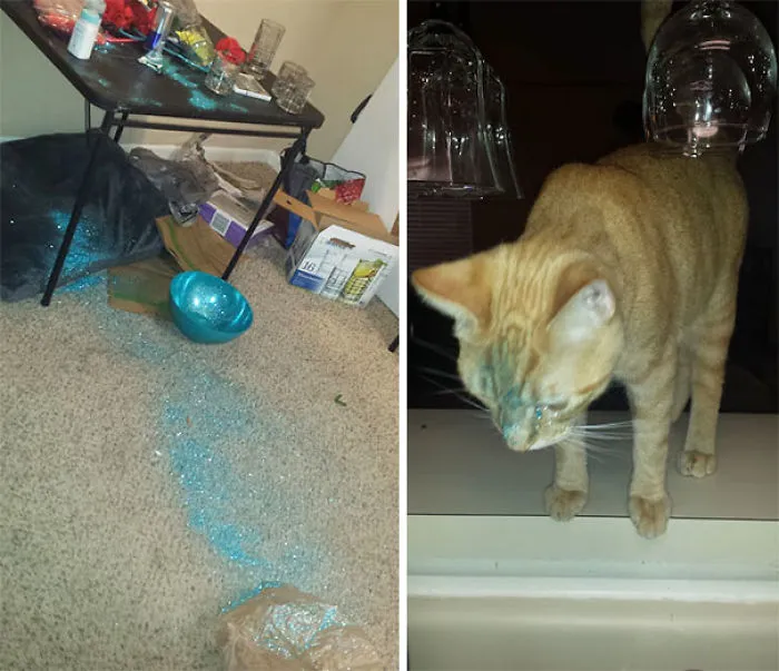 Wonder Who Knocked Over This Bowl Of Glitter?