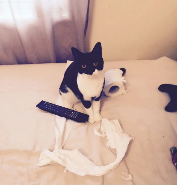 Caught In The Act