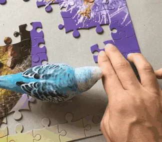 También se hizo caca en el puzzle