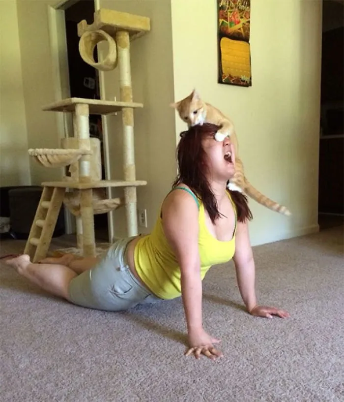 La nueva postura de yoga de mi novia